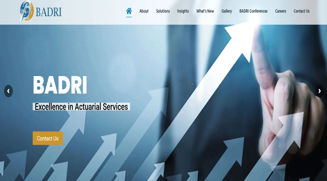 BADRI Management Consultancy
